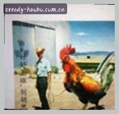 孙宇
